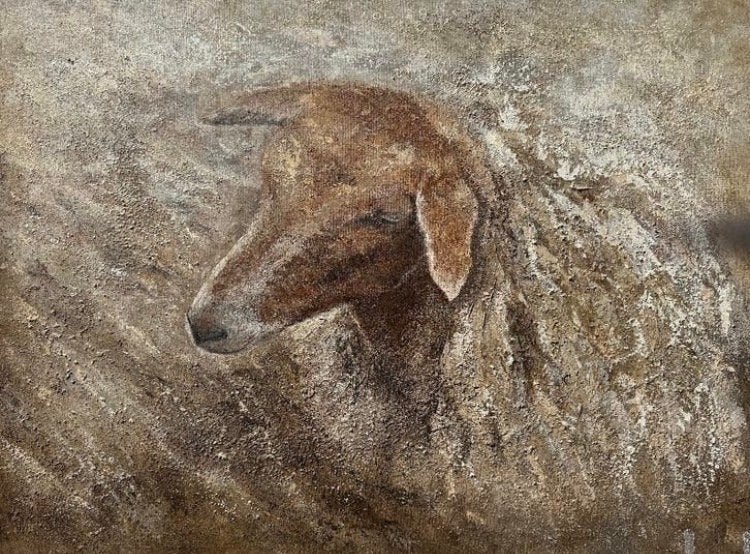 Drents heideschaap - Anna Moes - Westerheide Laren (90x120), Antiek en Kunst, Ophalen, Acrylverf, Doek, Realistisch