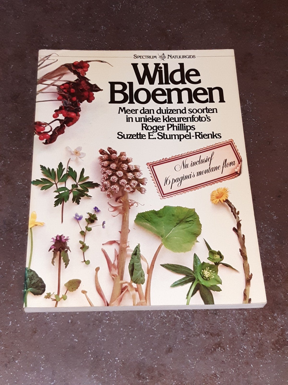 spectrum natuurgids wilde bloemen / planten herkennen, Ophalen of Verzenden, Zo goed als nieuw, Bloemen, Planten en Bomen