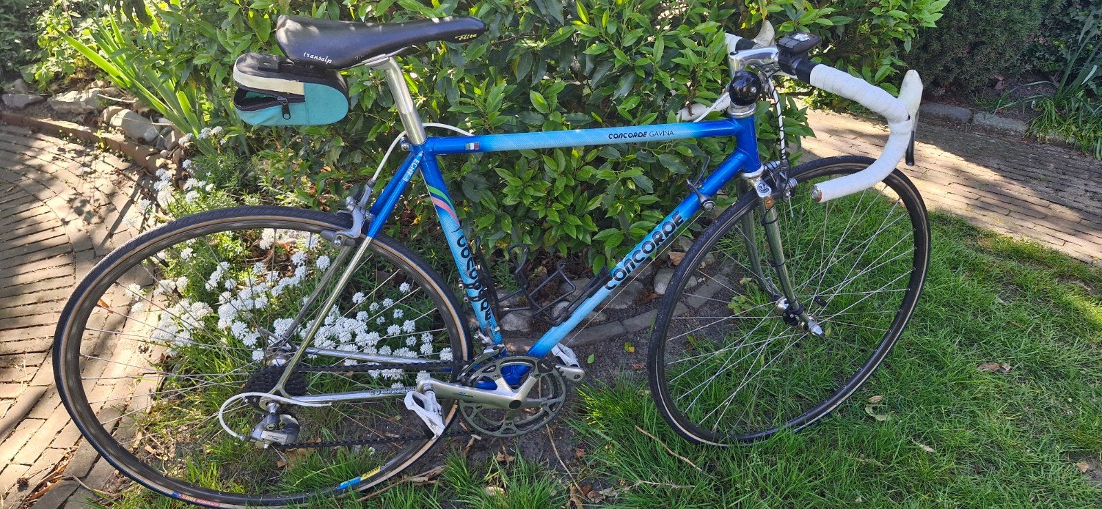 concorde gavina racefiets-klassiek italiaans staal, 28 inch, Gebruikt, Velgrem, 49 tot 53 cm