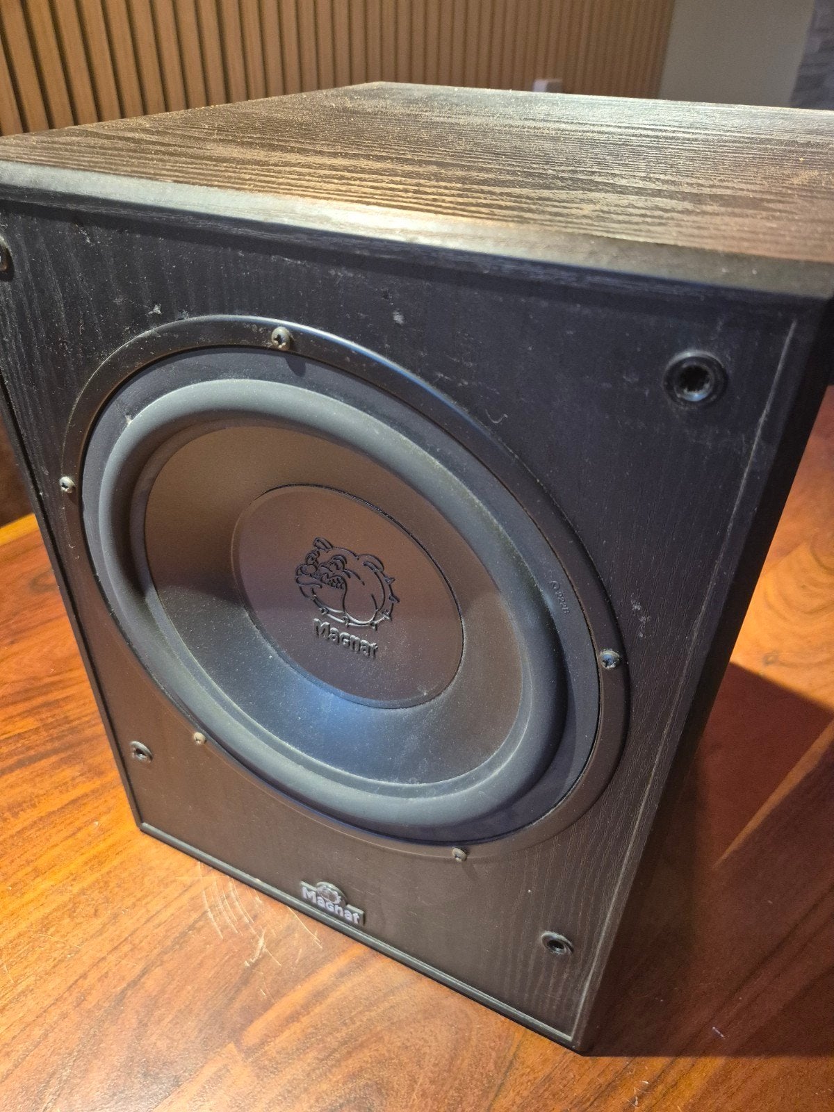 Magnat Active Subwoofer - Krachtige Bass voor Thuisbioscoop, Audio, Tv en Foto, Ophalen, Subwoofer, Magnat, Minder dan 60 watt