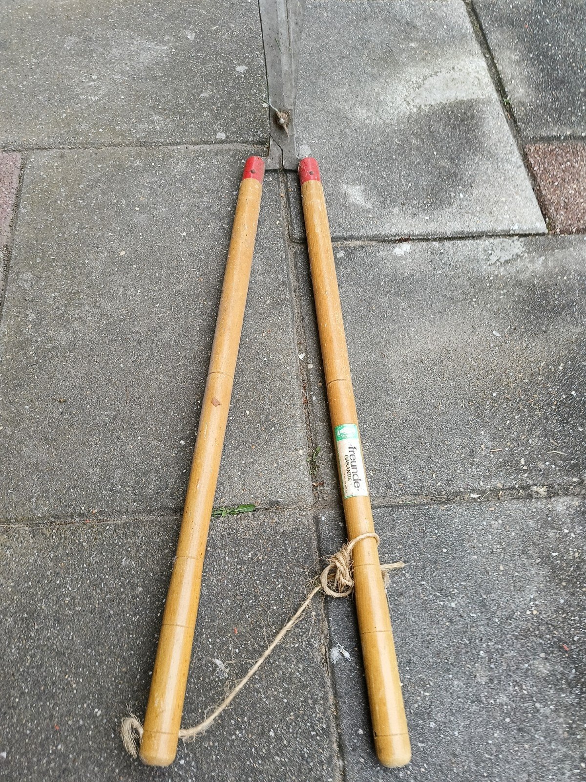 Snoeischaar, Ophalen of Verzenden, Elektrisch
