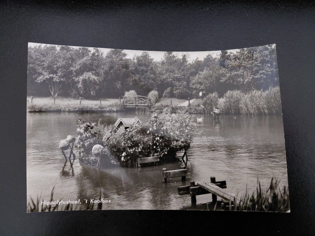 Hippolytushoef, 't Kooibos, ongelopen, echte glansfotokaart., Verzenden, 1960 tot 1980, Ongelopen, Natuur