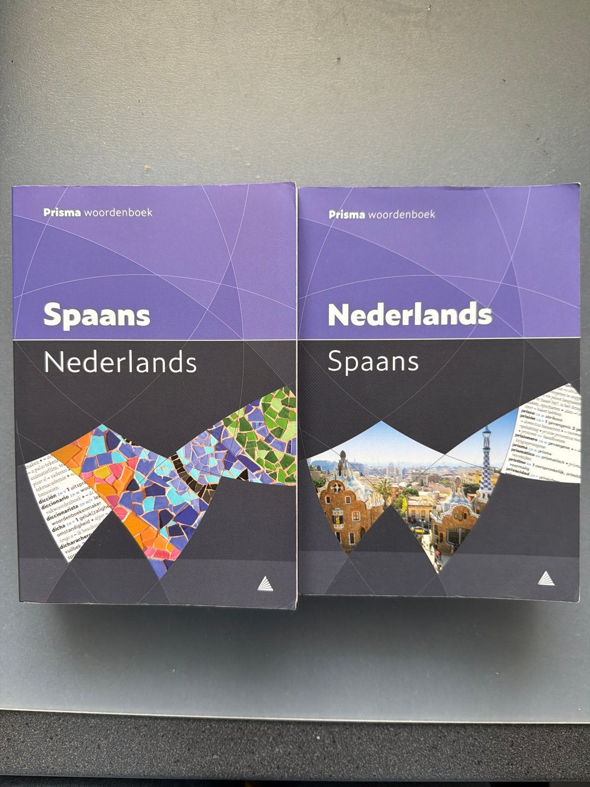 Prisma woordenboek Spaans-Nederlands & Nederlands-Spaans, Boeken, Ophalen of Verzenden, Gelezen, Non-fictie