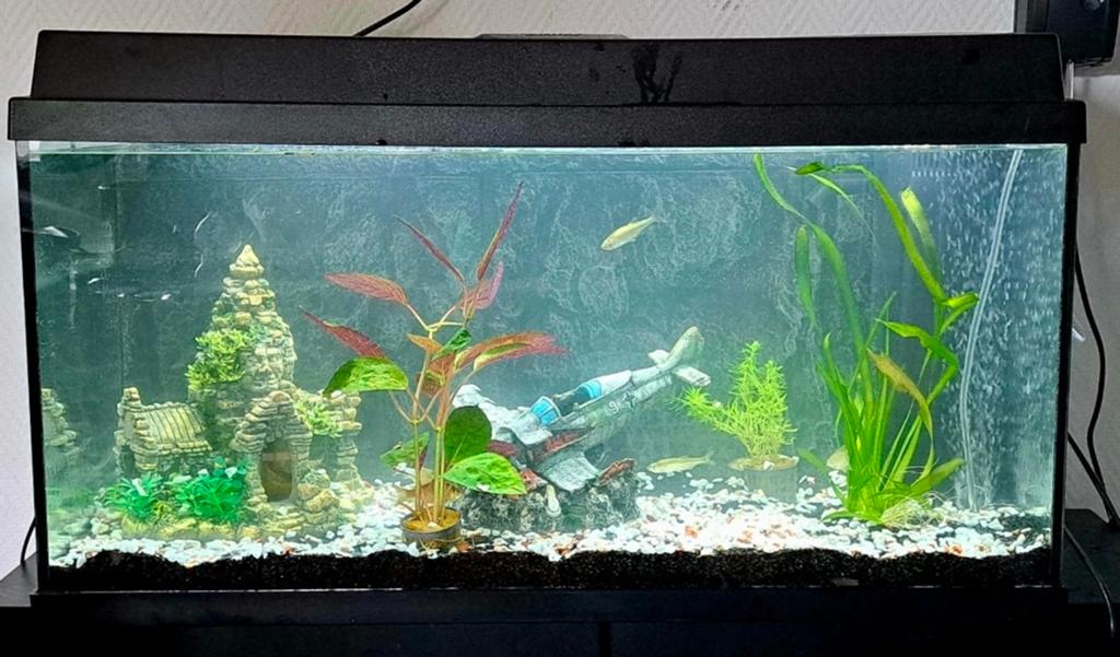 Juwel Aquarium met Led 80cm (incl. accessoires), Dieren en Toebehoren, Vissen | Aquaria en Toebehoren, Ophalen, Leeg aquarium