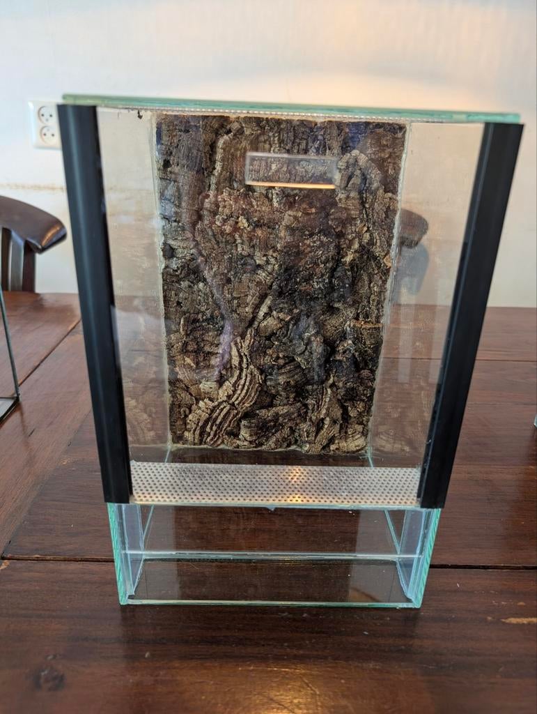 Terrarium 20x20x30, Dieren en Toebehoren, Reptielen en Amfibieën | Toebehoren, Ophalen, Gebruikt, Terrarium of Paludarium