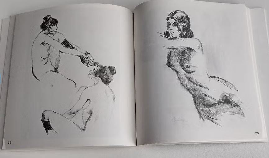 Cees Bantzinger Tekent Vrouwen Een Overzicht, Antiek en Kunst, Verzenden