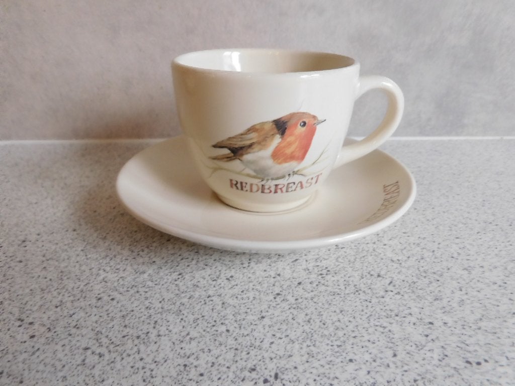 Kop en schotel Red Breast JET by ter Steege, Ophalen of Verzenden, Zo goed als nieuw, Overige stijlen, Kop(pen) en/of Schotel(s)