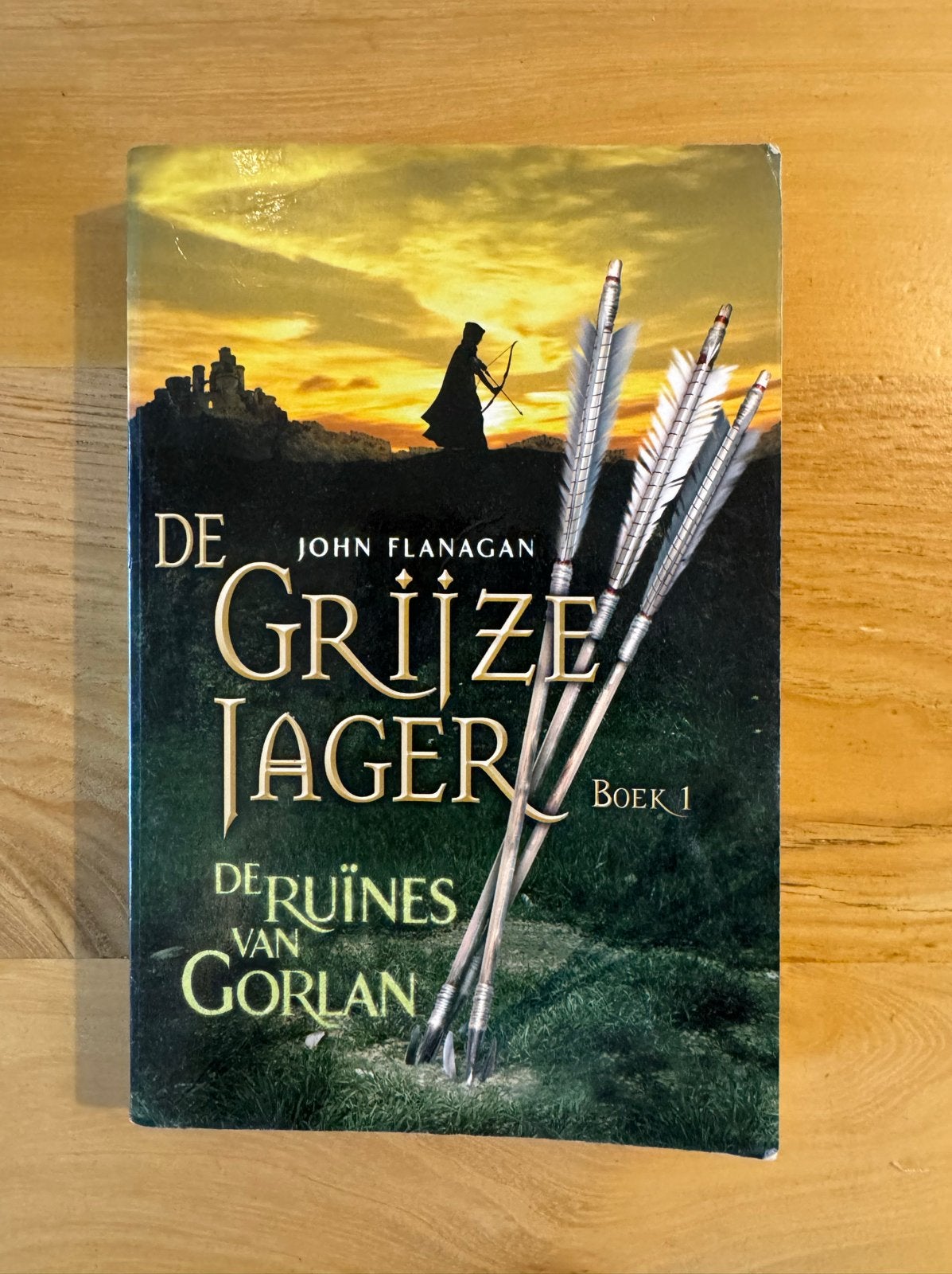De Grijze Jager Boek 1: De Ruïnes van Gorlan - John Flanagan, Ophalen, Gelezen