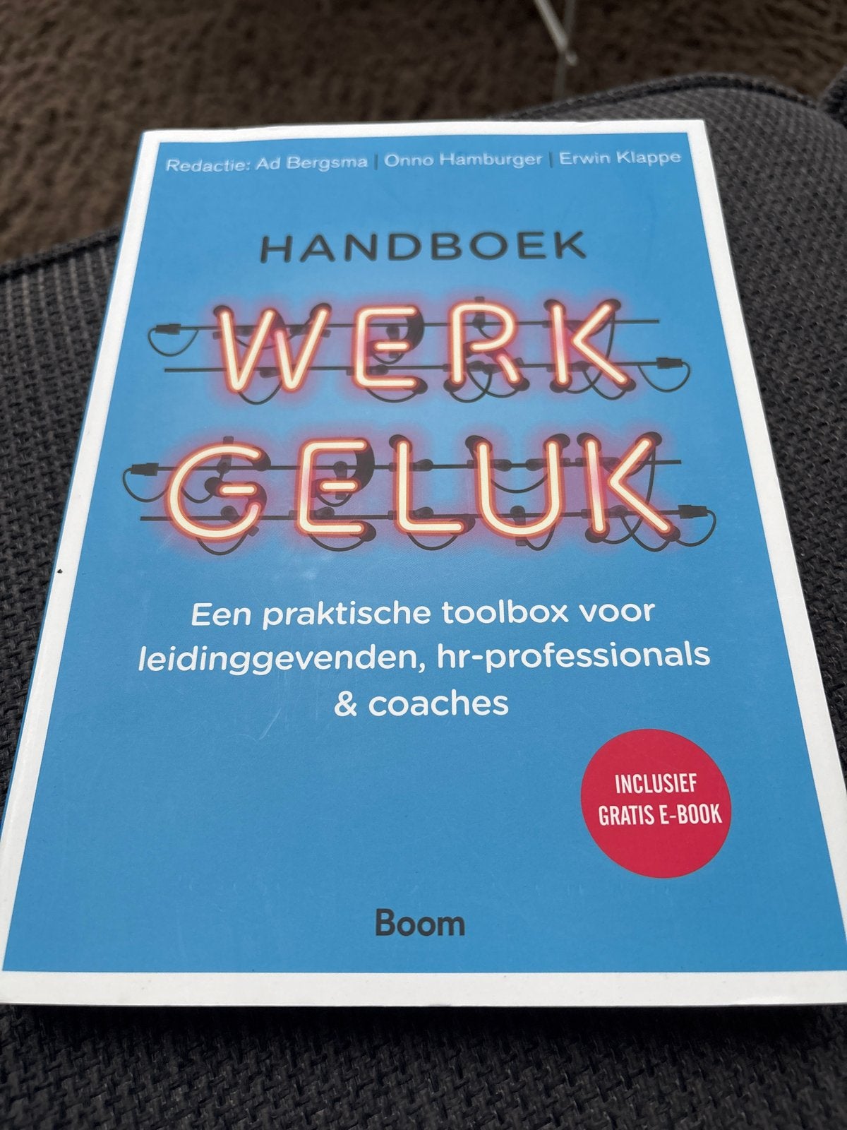 Handboek Werkgeluk - Praktische toolbox voor leidinggevenden, Ophalen of Verzenden, Nieuw, Management