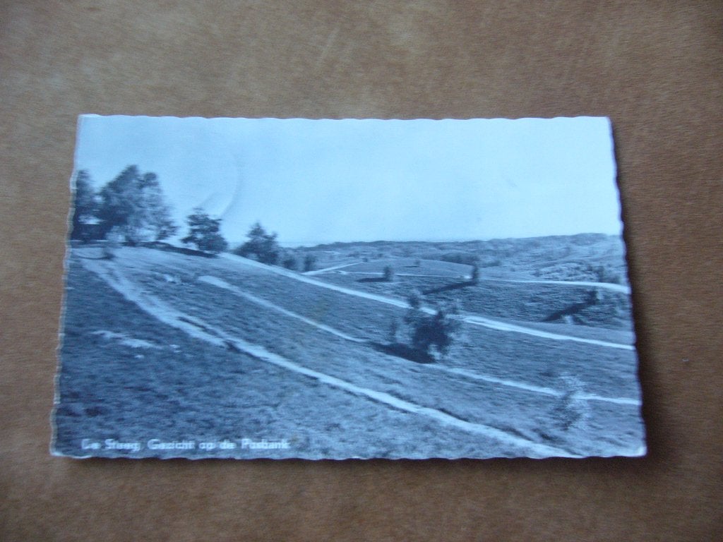 DE STEEG  =  GEZICHT OP DE POSBANK, Ophalen of Verzenden, 1940 tot 1960, Gelopen, Gelderland