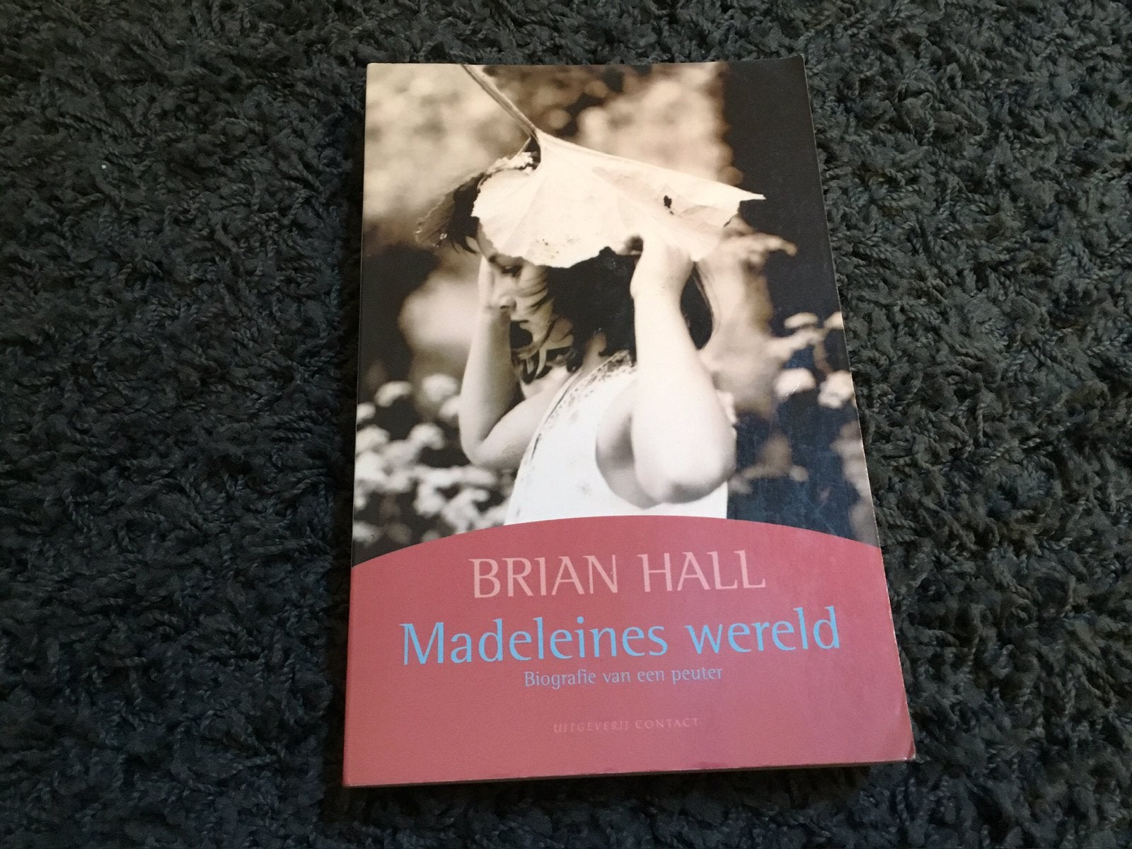 Brain Hall  Madeleines wereld, Ophalen of Verzenden, Zo goed als nieuw