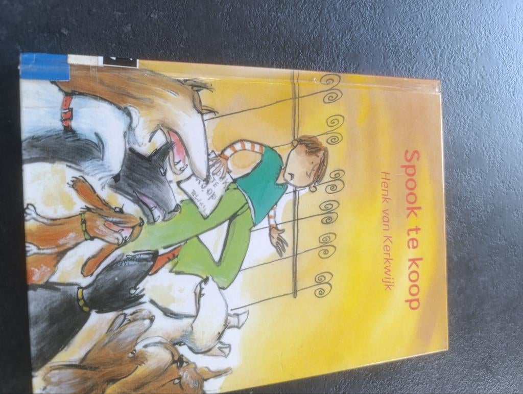 Spook te koop, Ophalen of Verzenden, Zo goed als nieuw