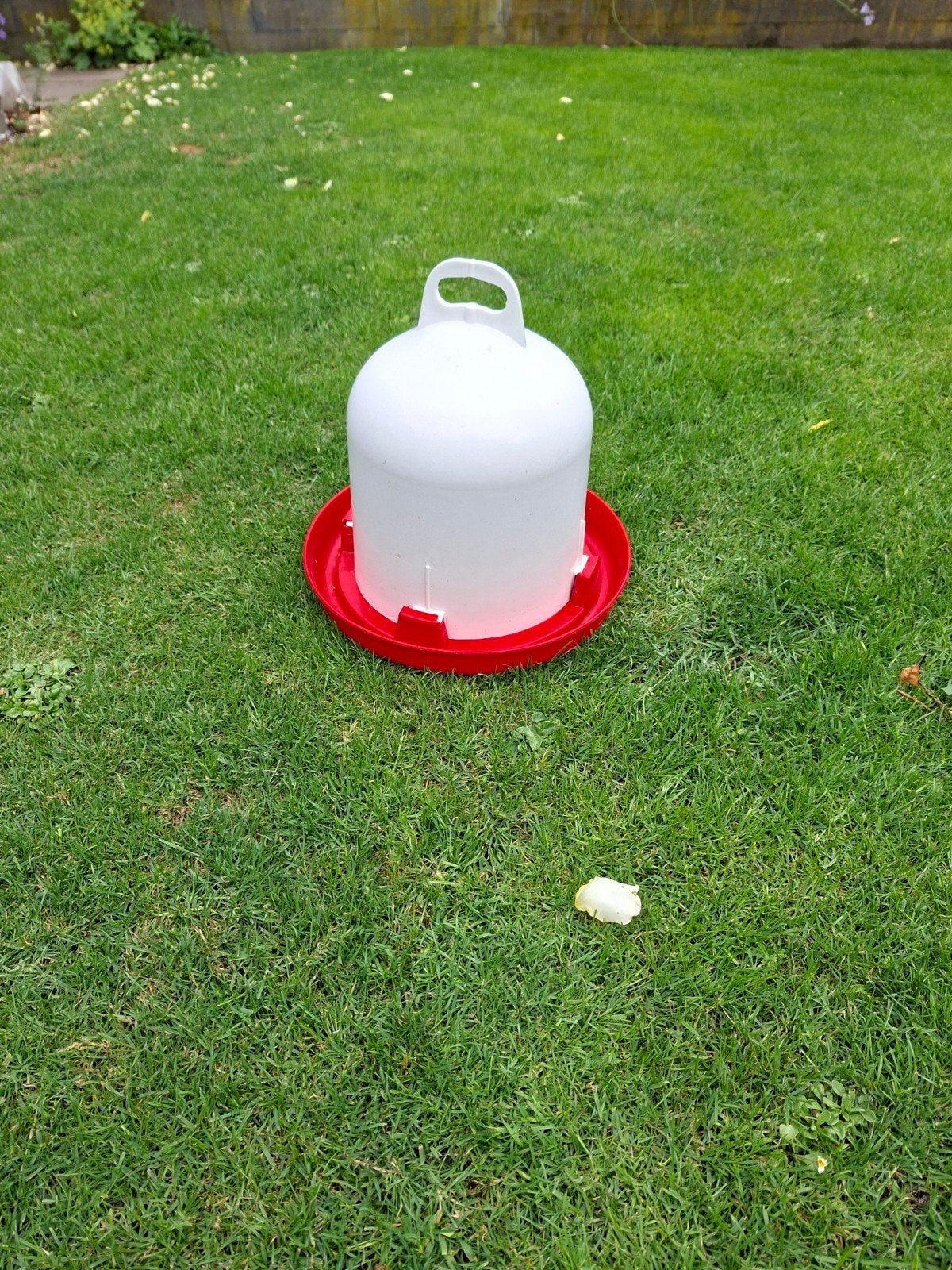 Watertoren/bak voor kippen, Ophalen of Verzenden, Drinken en Voederen