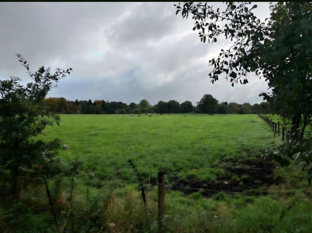 Grasland/landbouwgrond te huur/koop gevraagd!, Dieren en Toebehoren, Stalling en Weidegang