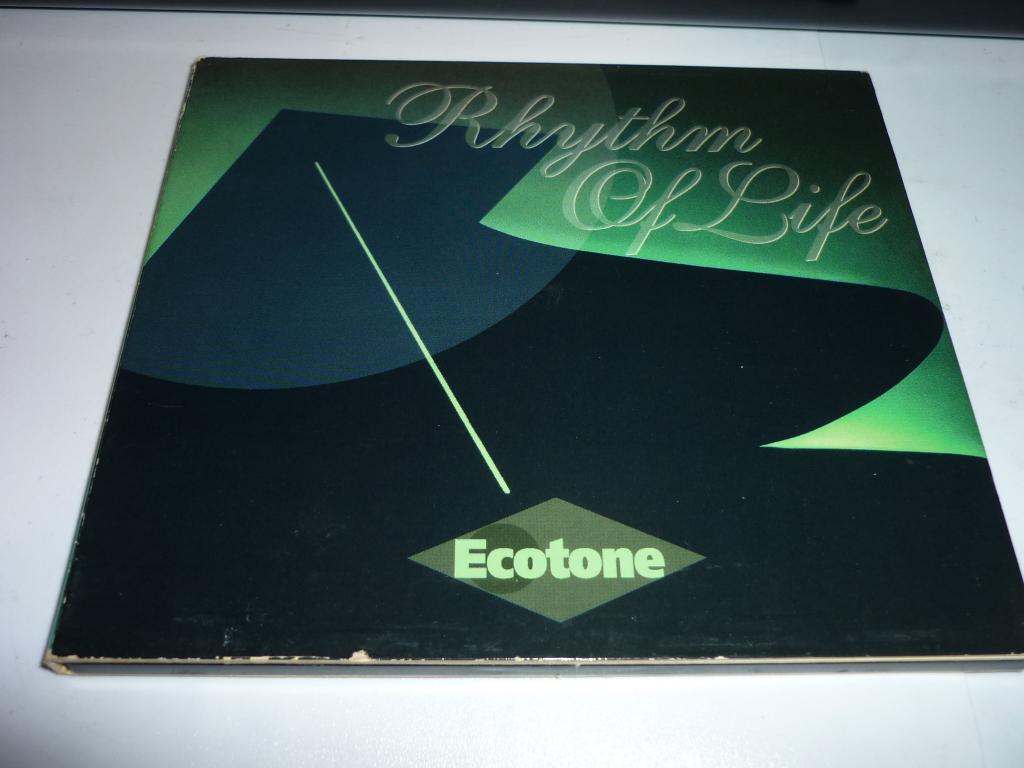 Ecotone cd rhythm of life, Verzenden, Zo goed als nieuw, Pop