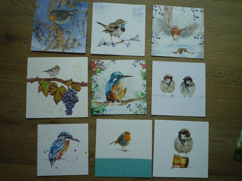 Roodborstje mus ijsvogel vogel vuurgoudhaantje Elwin, Ophalen of Verzenden, Voor 1920, Vogel