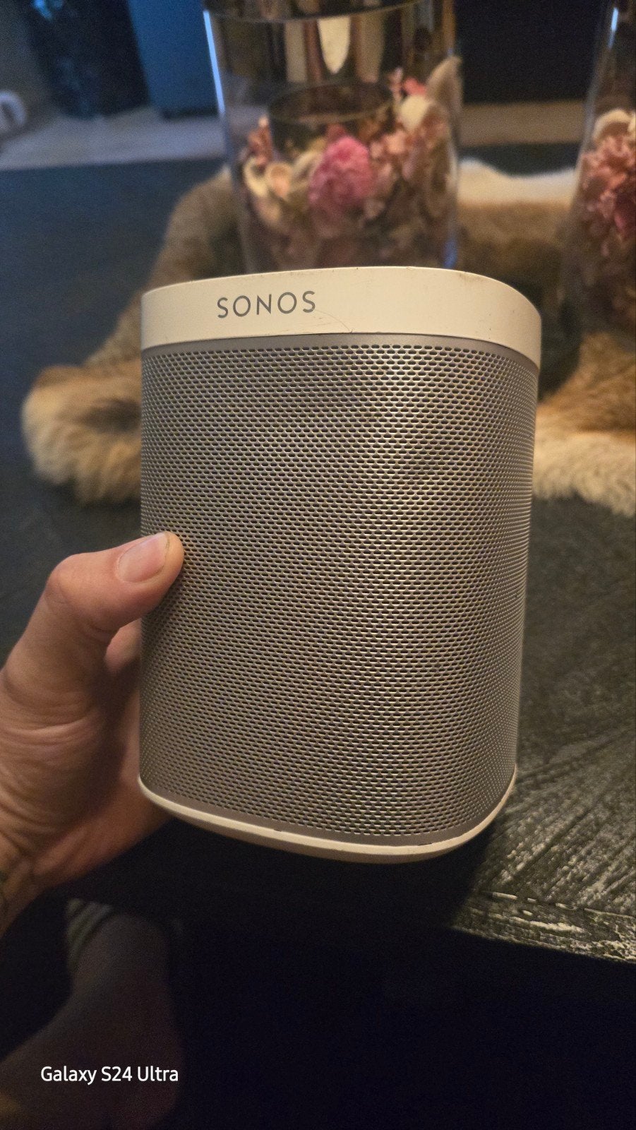 Sonos Play 1 Smart speaker *50euro*