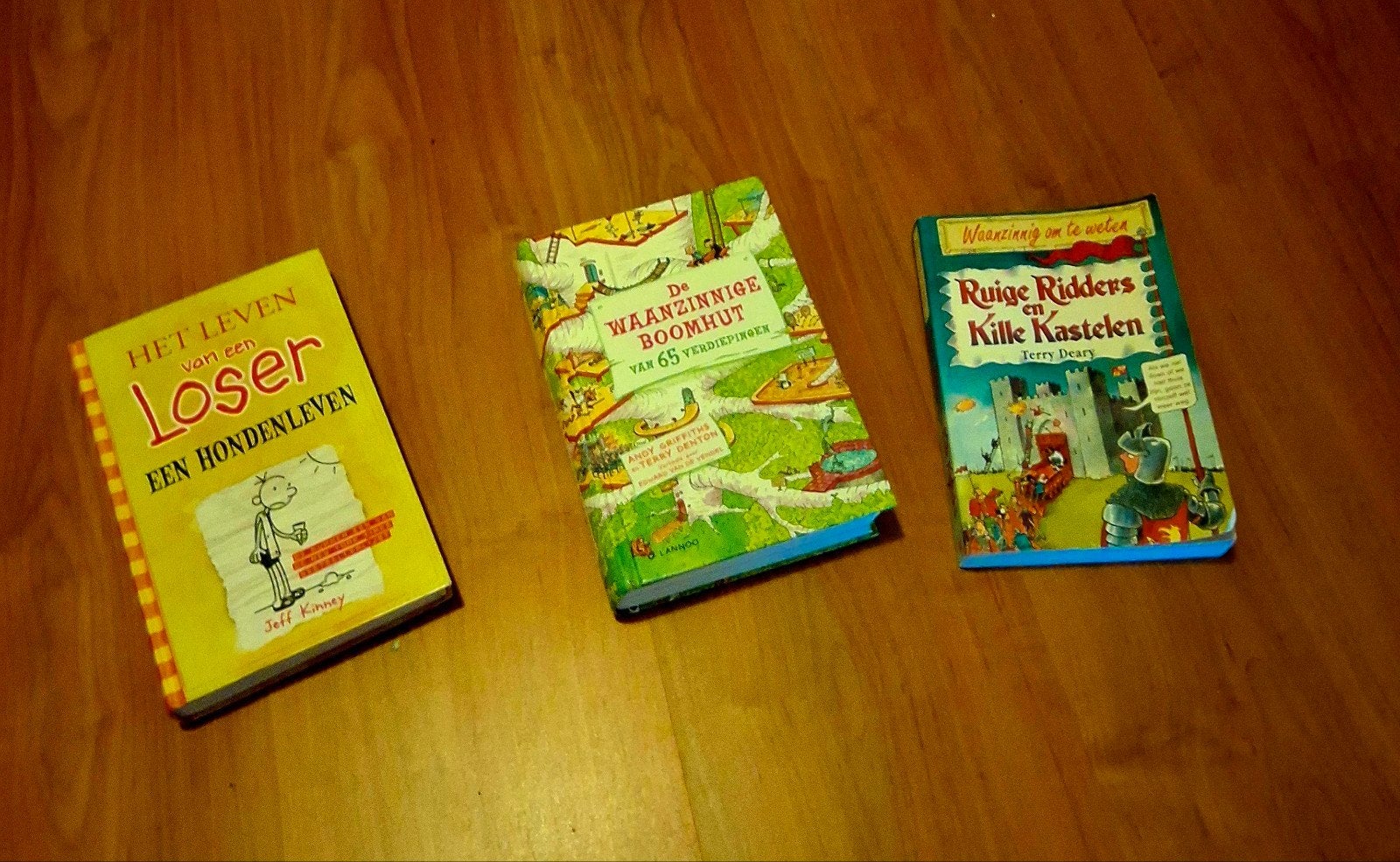 3 kinderboeken: Het Leven van een Loser, Boomhut, Ridders, Ophalen of Verzenden, Zo goed als nieuw