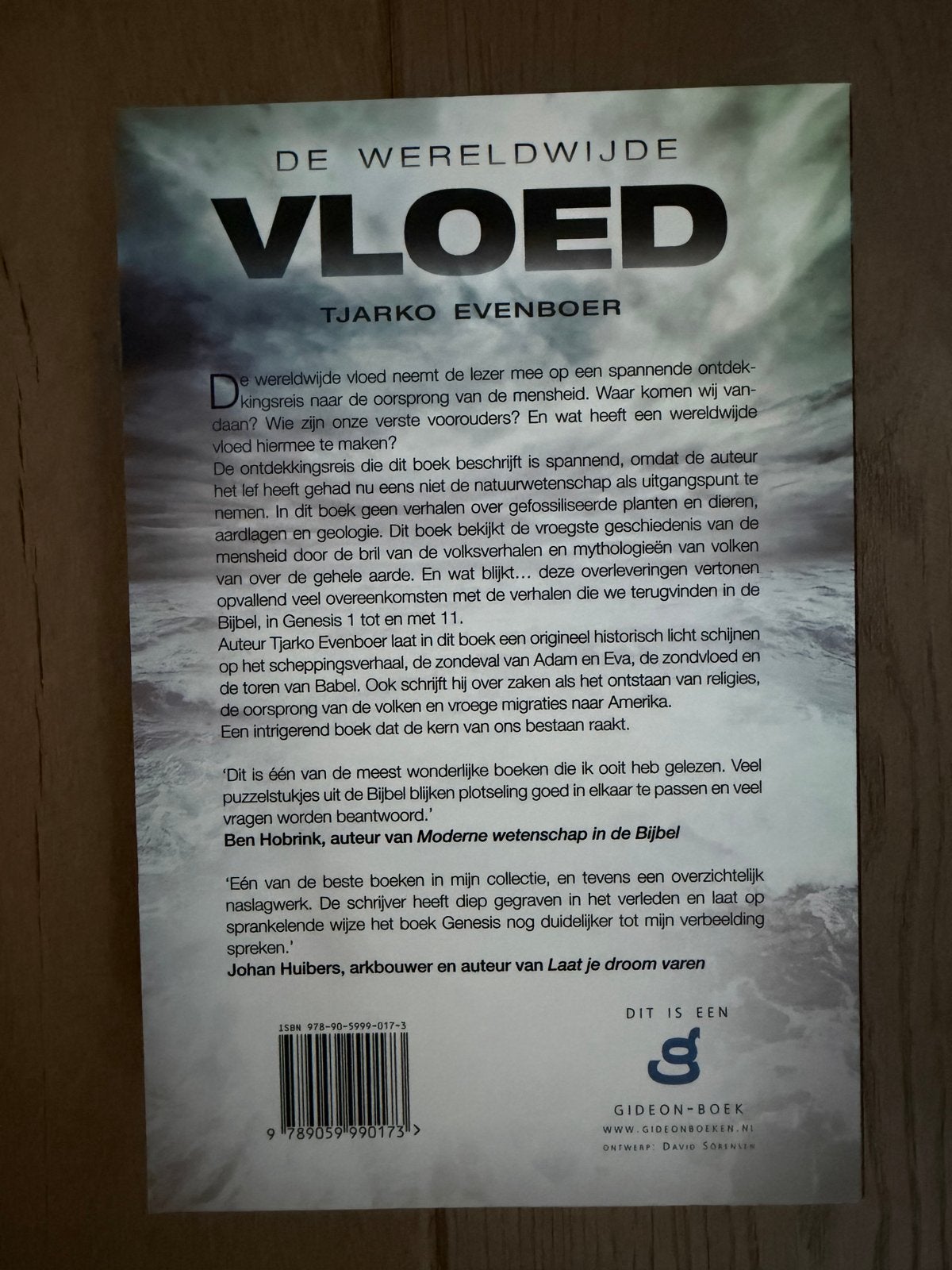 De Wereldwijde Vloed - Tjarko Evenboer, Boeken, Ophalen of Verzenden, Gelezen, Christendom | Protestants