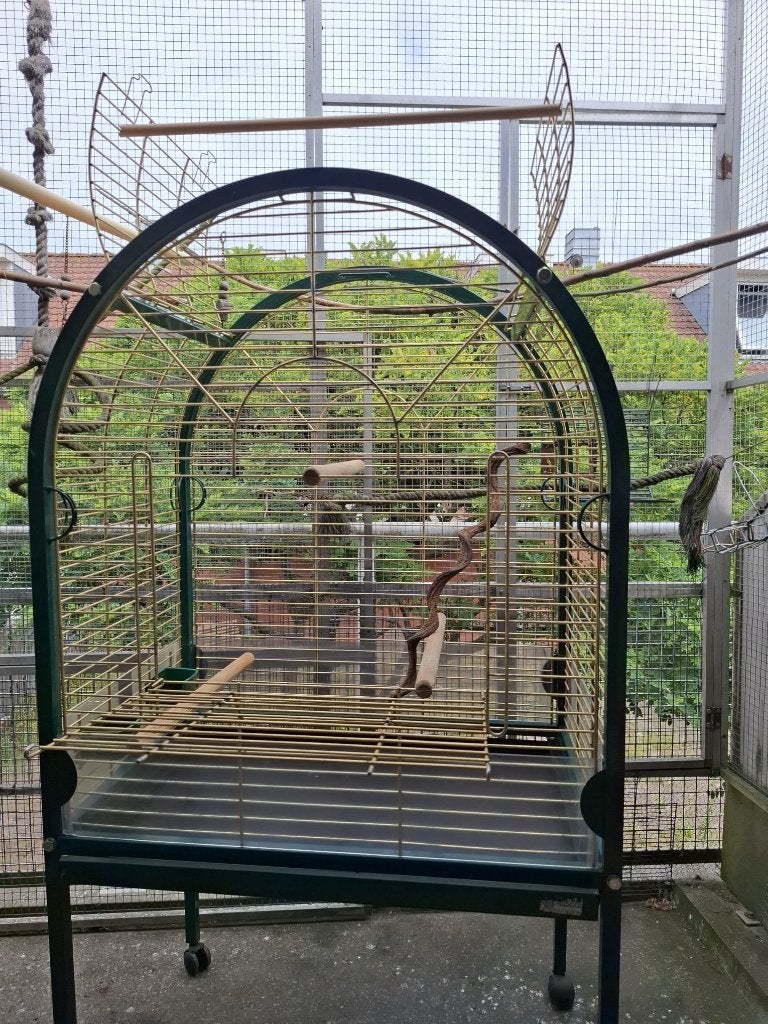 vogels kooi voor grijze roodstaarten, Dieren en Toebehoren, Vogels | Hokken en Kooien, Ophalen, Zo goed als nieuw, Metaal, Vogelkooi
