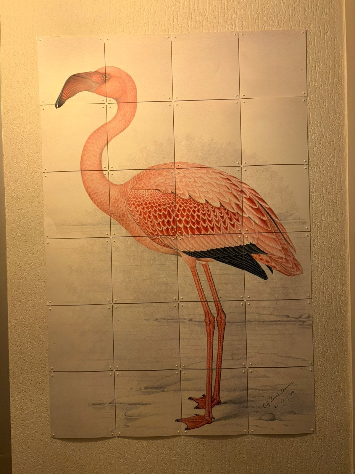 Ixxi flamingo 120x80, Ophalen of Verzenden