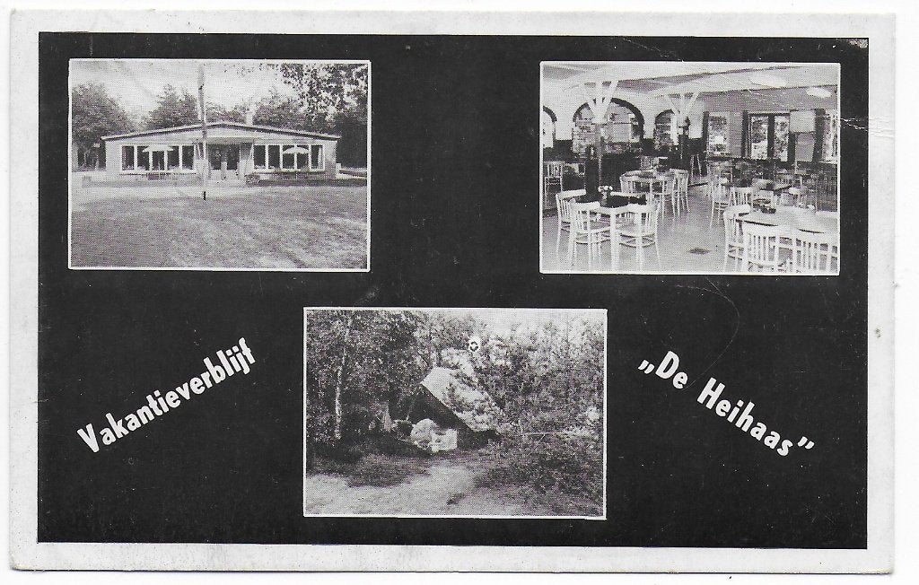 Putten Vakantieverblijf de Heihaas Ansichtkaart (B7271 ), Ophalen of Verzenden, 1960 tot 1980, Gelopen, Noord-Brabant