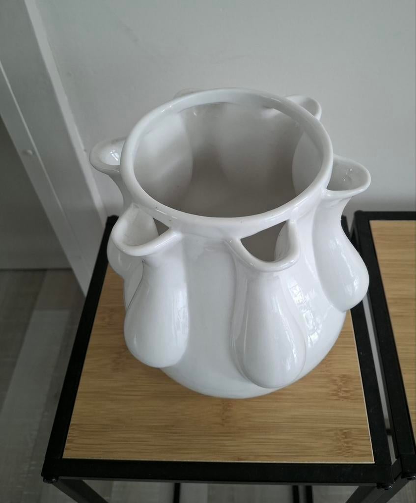 Tulpenvaas  zgan!, Huis en Inrichting, Woonaccessoires | Vazen, Overige kleuren, Ophalen of Verzenden, Minder dan 50 cm, Glas