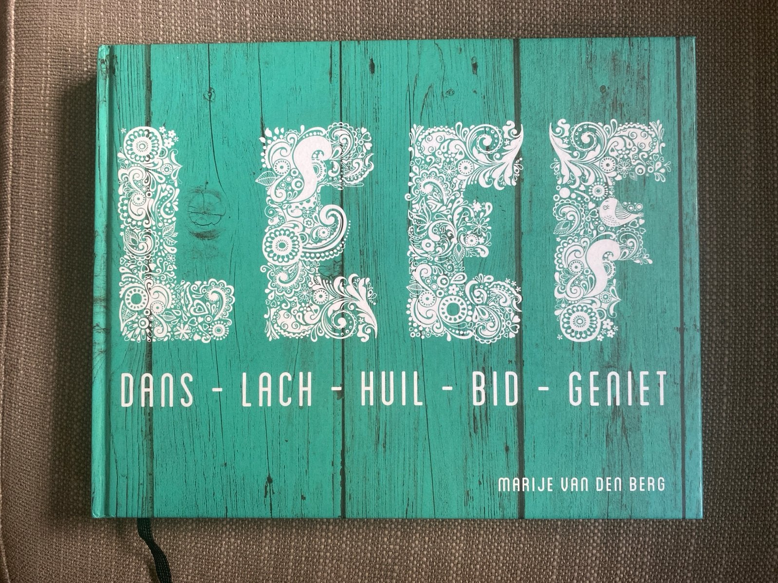Marije van den Berg - Leef!, Marije van den Berg, Christendom | Protestants, Ophalen of Verzenden, Zo goed als nieuw