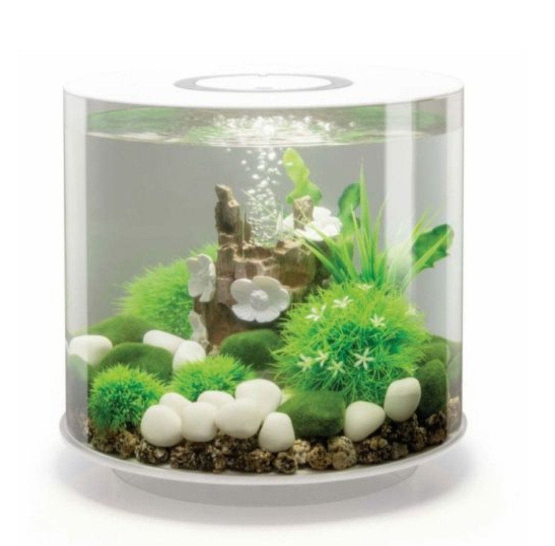 Biorb aquarium wit tube 35 liter, Ophalen of Verzenden, Gebruikt, Leeg aquarium