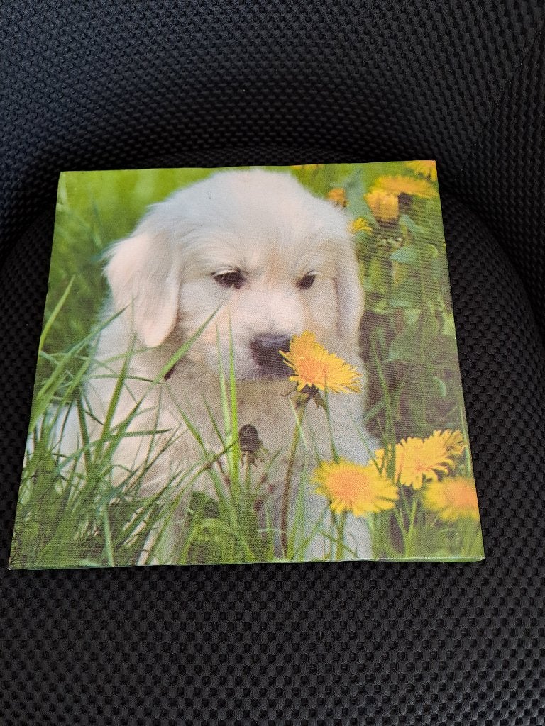 Canvas doek met puppie, Minder dan 50 cm, Ophalen of Verzenden, Zo goed als nieuw, Schilderij