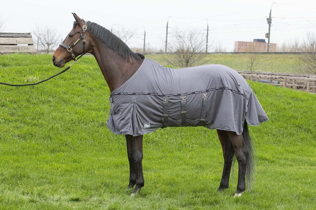Harry's Horse Vliegendeken Mesh Pro Belly Grijs, Dieren en Toebehoren, Paarden en Pony's | Dekens en Dekjes, Vliegendeken, Nieuw