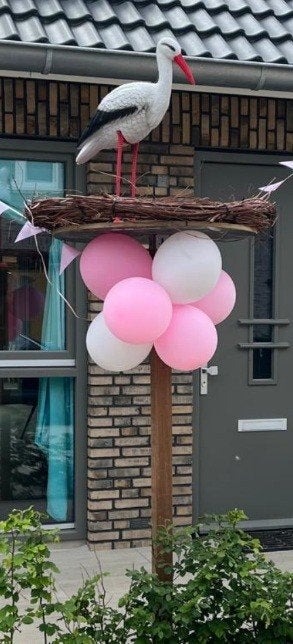 geboorte ooievaar met nest, Ophalen