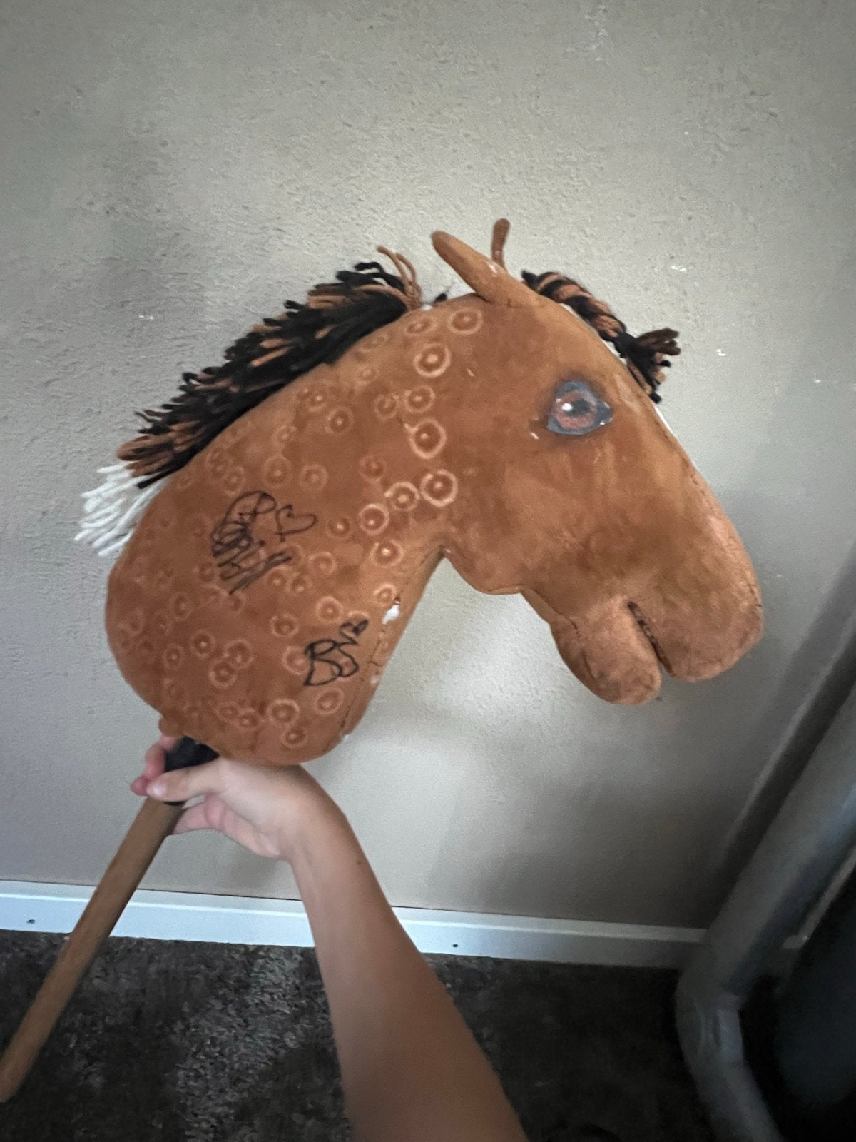 Unieke Hobby Horse met handtekeningen van bekende mensen, Ophalen of Verzenden, Zo goed als nieuw, Jongen of Meisje