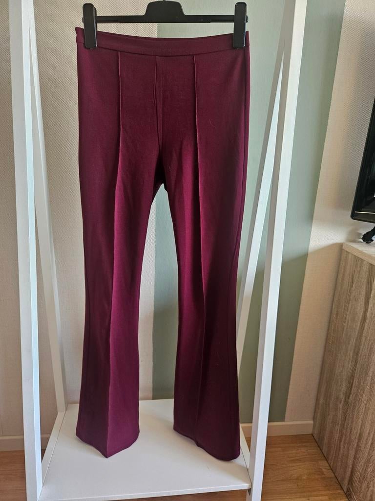 Leuke bordeauxrode flared broek van IVIVI - maat S, Ophalen of Verzenden, Zo goed als nieuw, Maat 36 (S), Lang
