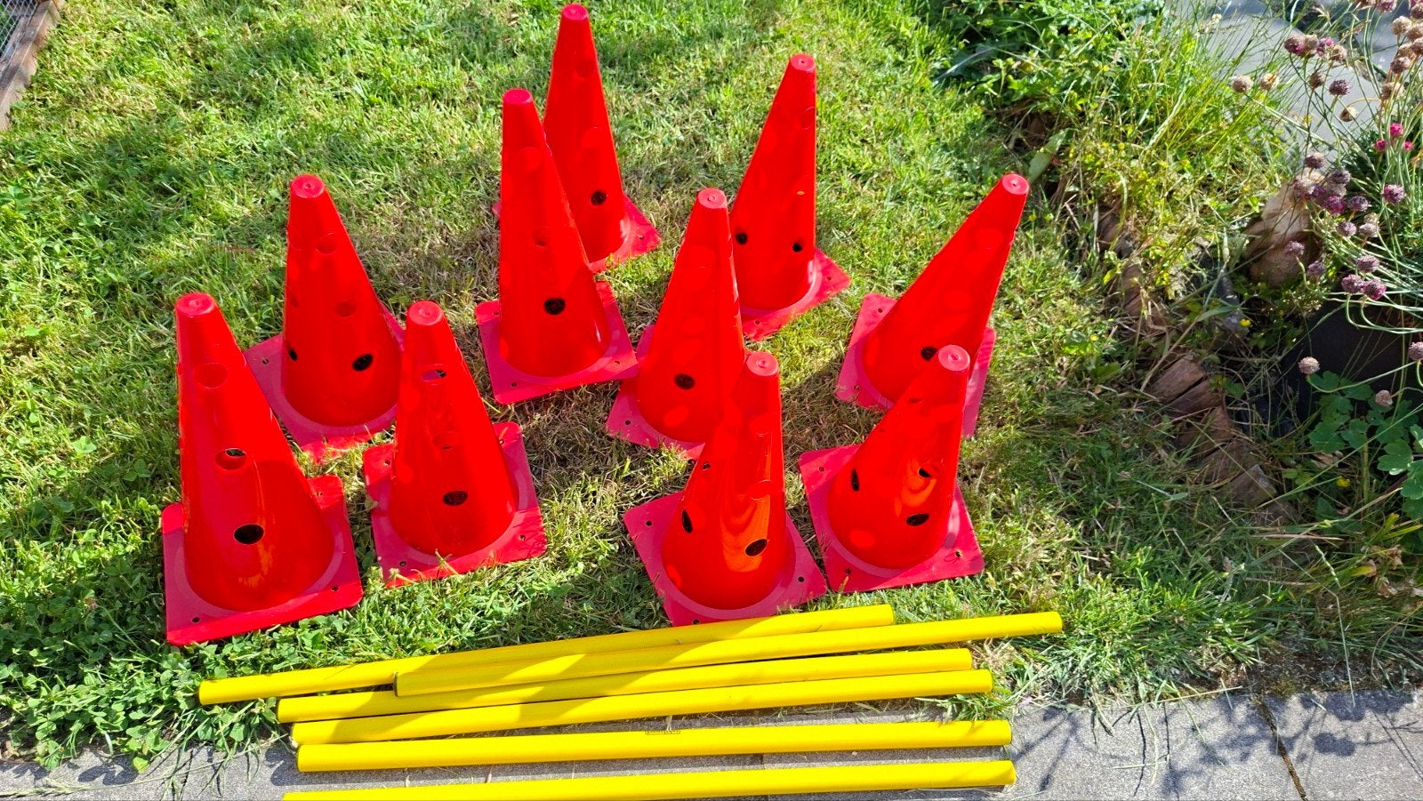honden agility set, Dieren en Toebehoren, Honden-accessoires, Ophalen, Zo goed als nieuw
