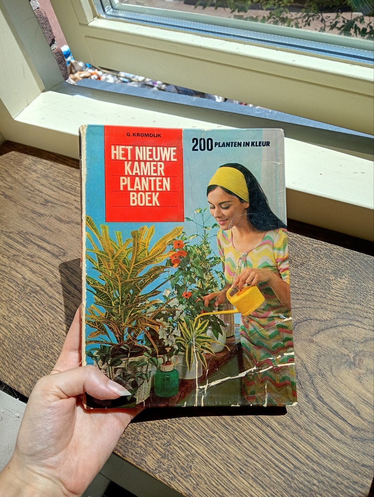 Het Nieuwe Kamerplantenboek - G. Kromdijk, Boeken, Wonen en Tuinieren, Ophalen of Verzenden, Gelezen, G. Kromdijk, Kamerplanten