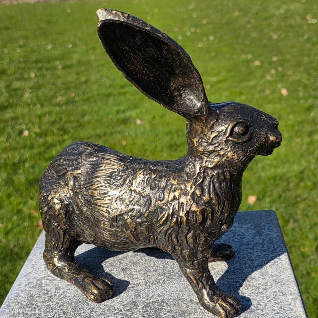 HAAS / bronzen tuinbeeld / brons, Tuin en Terras, Tuinbeelden, Dierenbeeld, Nieuw, Info@huisentuindecoratiemarie.nl, Huis en tuin decoratie marie