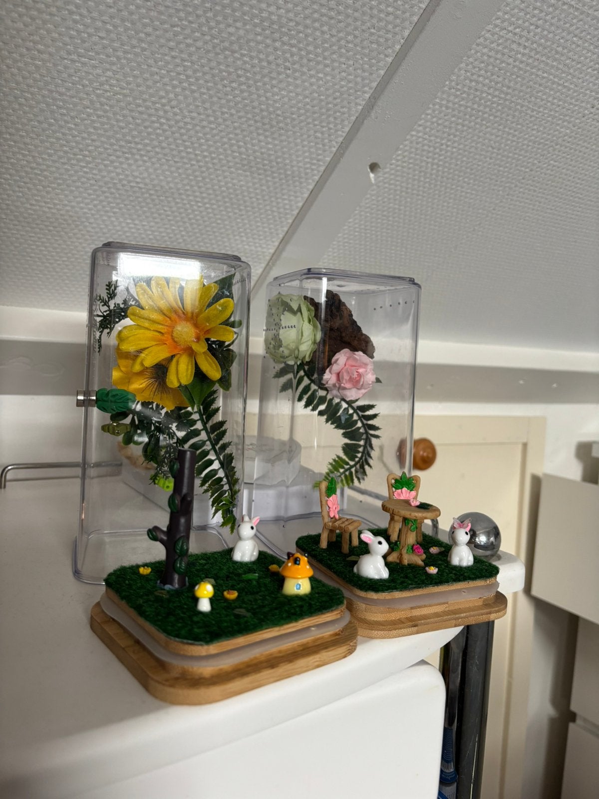 Springspin terrarium, Dieren en Toebehoren, Insecten en Spinnen, Spin of Schorpioen