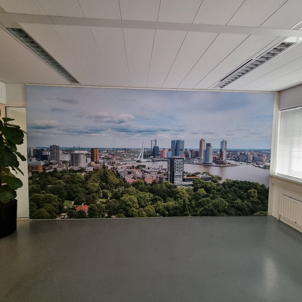 Doek van Rotterdam, Ophalen, Doek, Realistisch, Overige technieken