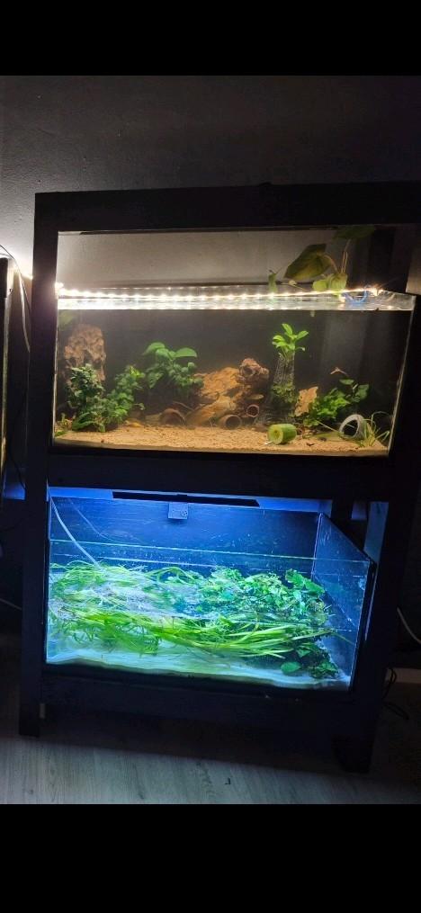 Aquarium stelling, Dieren en Toebehoren, Vissen | Aquaria en Toebehoren, Ophalen, Leeg aquarium