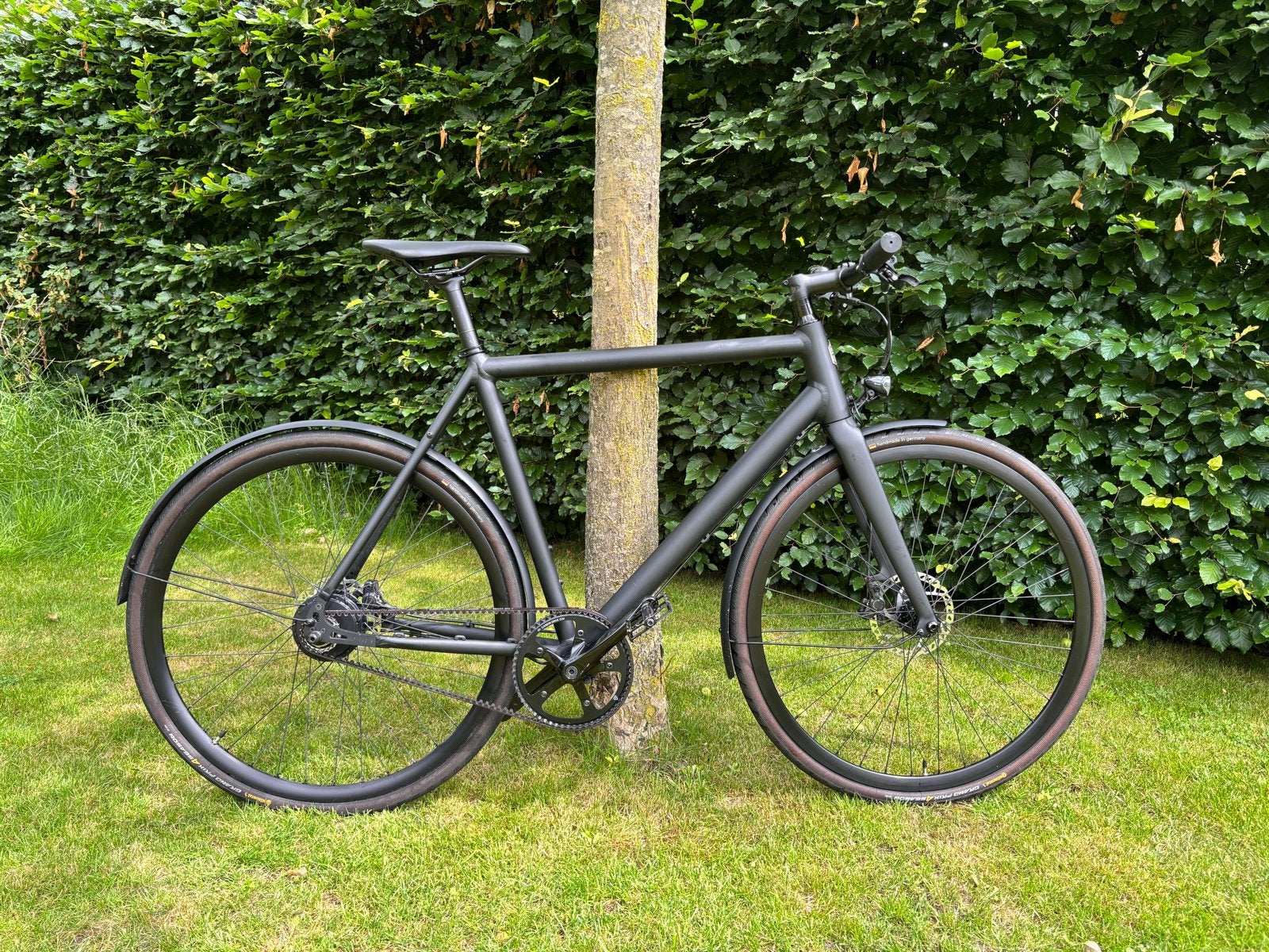 Ampler Curt e-bike L – 2.453 km, riemaandr., goede staat!, Zo goed als nieuw, 50 km per accu of meer, 55 tot 59 cm, Ophalen