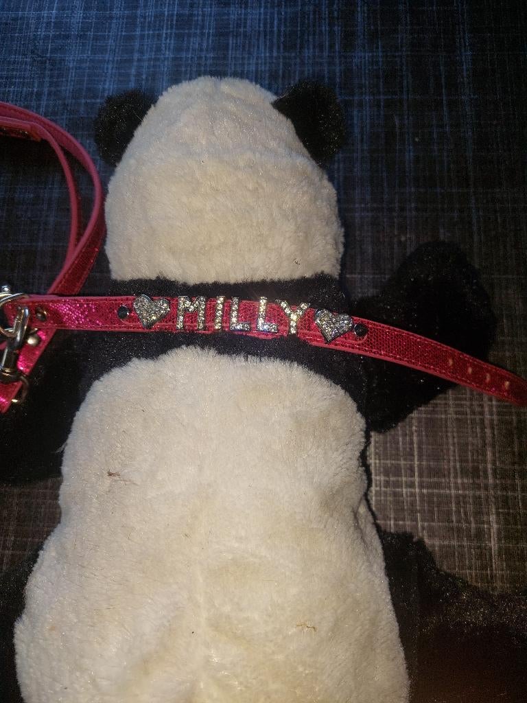 Halsband met looplijn, Ophalen, Nieuw