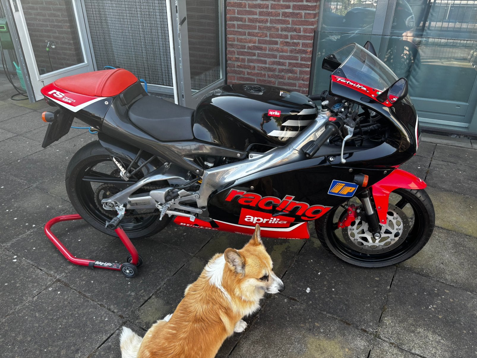 Aprilia RS125 Replica Harada – 2000 – Orig. NL - 12.738 km, Motoren, Motoren | Aprilia, Gebruikt, Minimaal motorrijbewijs A2, 124 cc