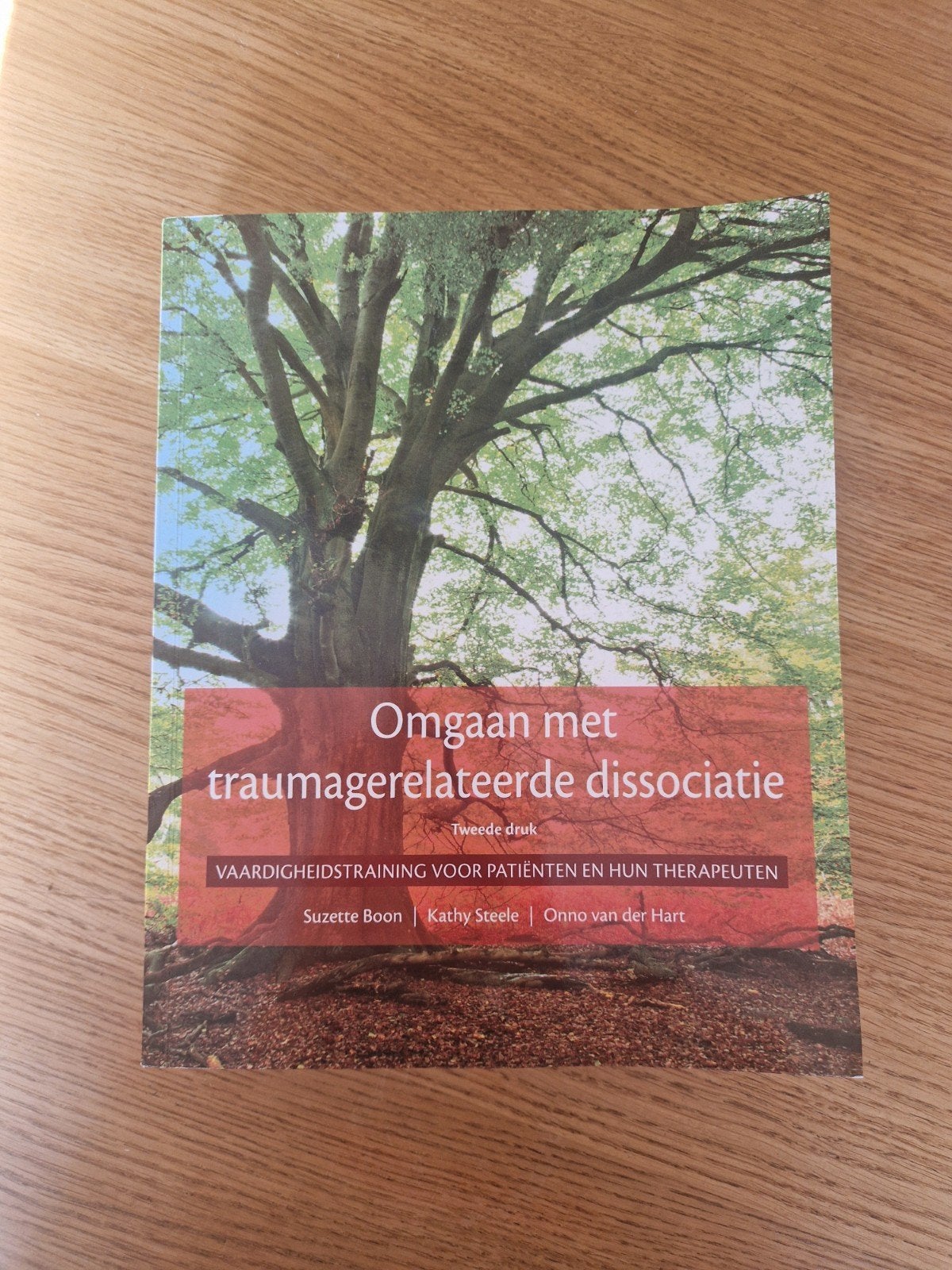 Omgaan met Traumagerelateerde Dissociatie - Tweede druk, Gamma, HBO, Ophalen of Verzenden, Suzette Boon, Kathy Steele, Onno van der Hart