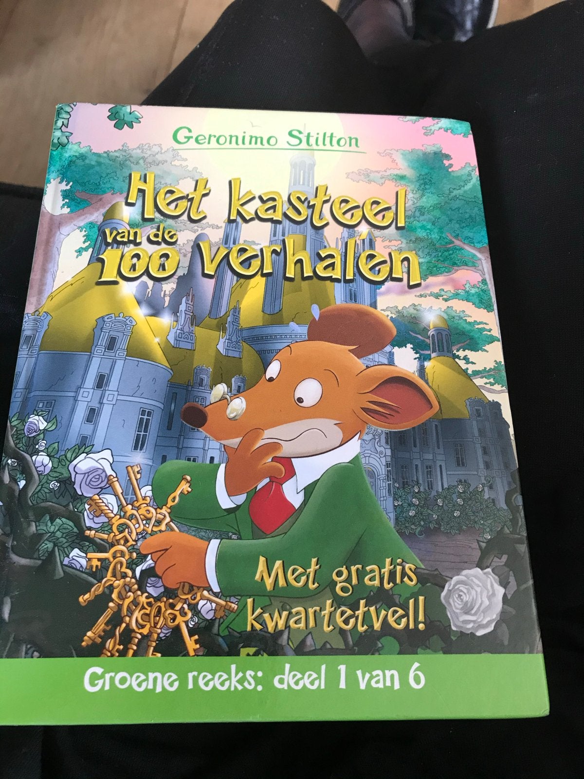 Geronimo Stilton boeken - diverse titels per stuk, Ophalen, Gelezen, Fictie