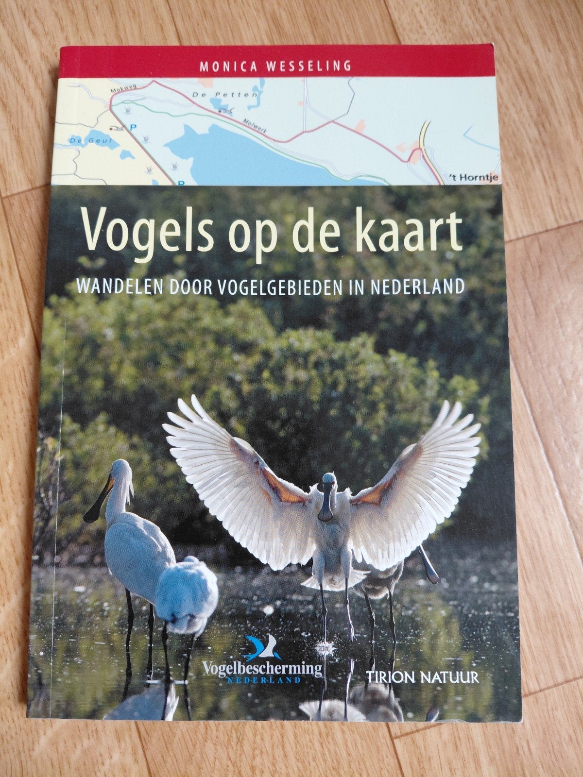 Monica Wesseling - Vogels op de kaart, Ophalen of Verzenden, Zo goed als nieuw, Vogels, Monica Wesseling
