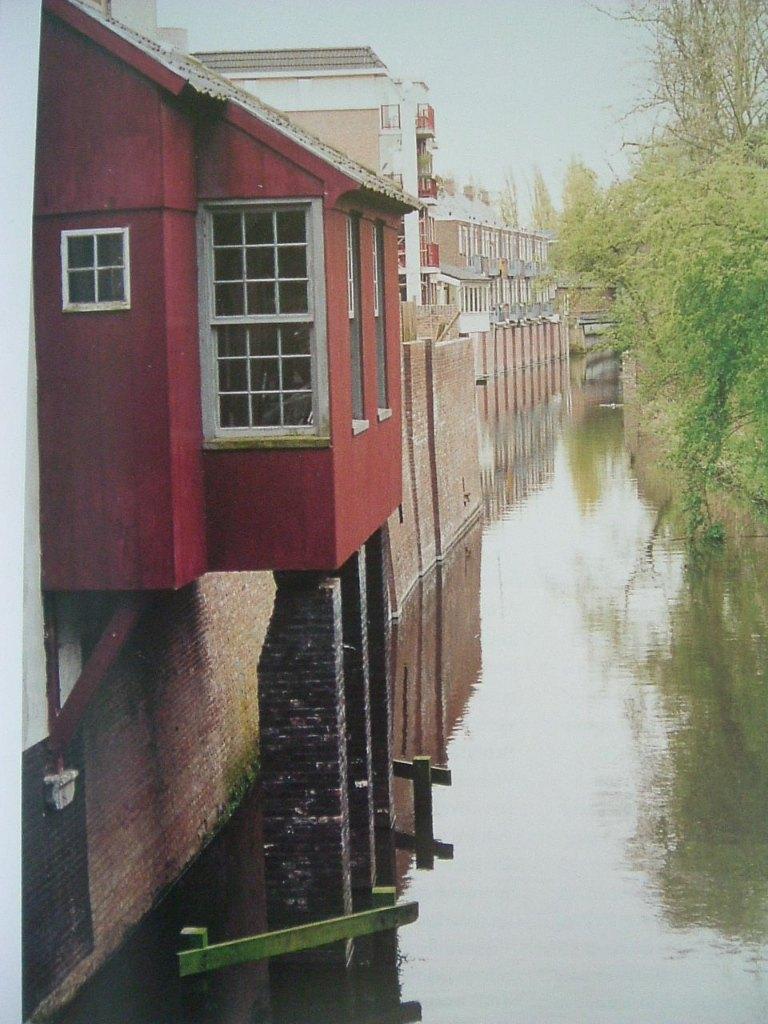 De Binnendieze van 's-Hertogenbosch, 800 jaar geschiedenis., Ophalen of Verzenden, Zo goed als nieuw, P. Verhagen
