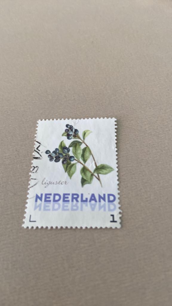 Nederland, Ophalen of Verzenden, Gestempeld