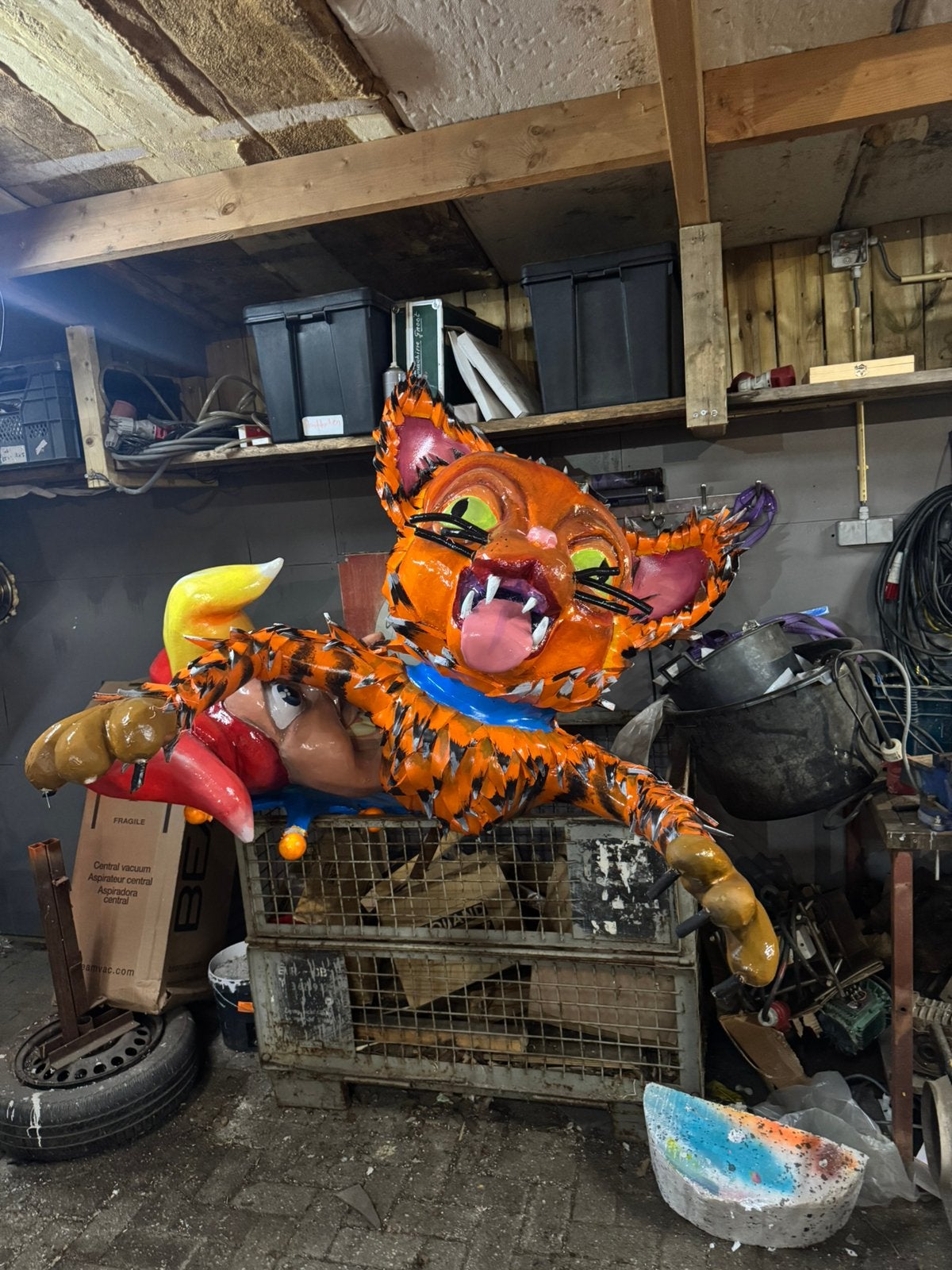 Carnavalspop kat, Ophalen
