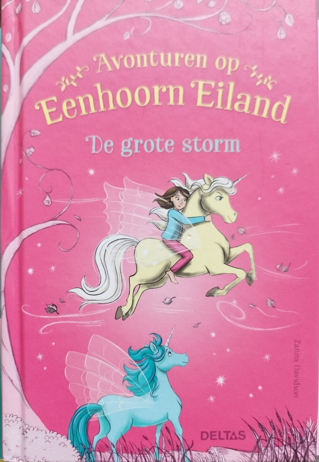 Avonturen op Eenhoorn Eiland: De grote storm, Ophalen of Verzenden, Nieuw, Zanna Davidson, Fictie